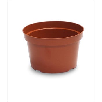 8″ x 5″ Mum Pan