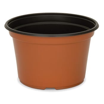 8″ x 5″ Coex Mum Pan