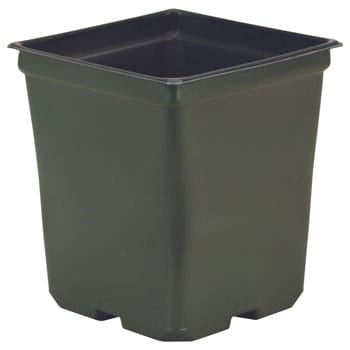 5.50 2 Quart Square Coex Pot