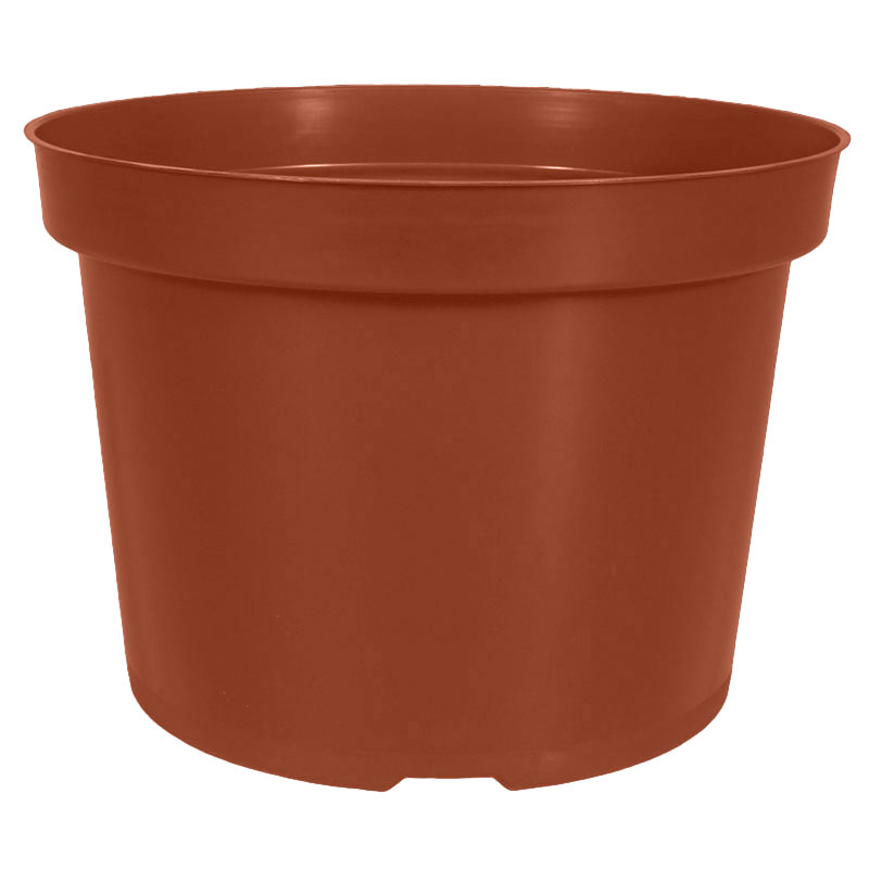 9″ x 6.5″ Mum Pan