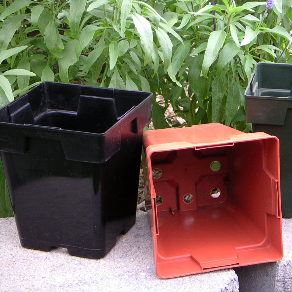5.5″ Square Jumbo Thinwall Tag Locator Pot