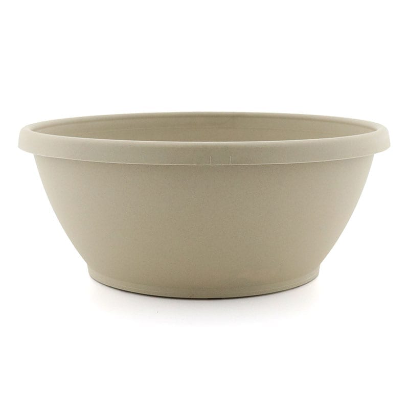 Color Bowl