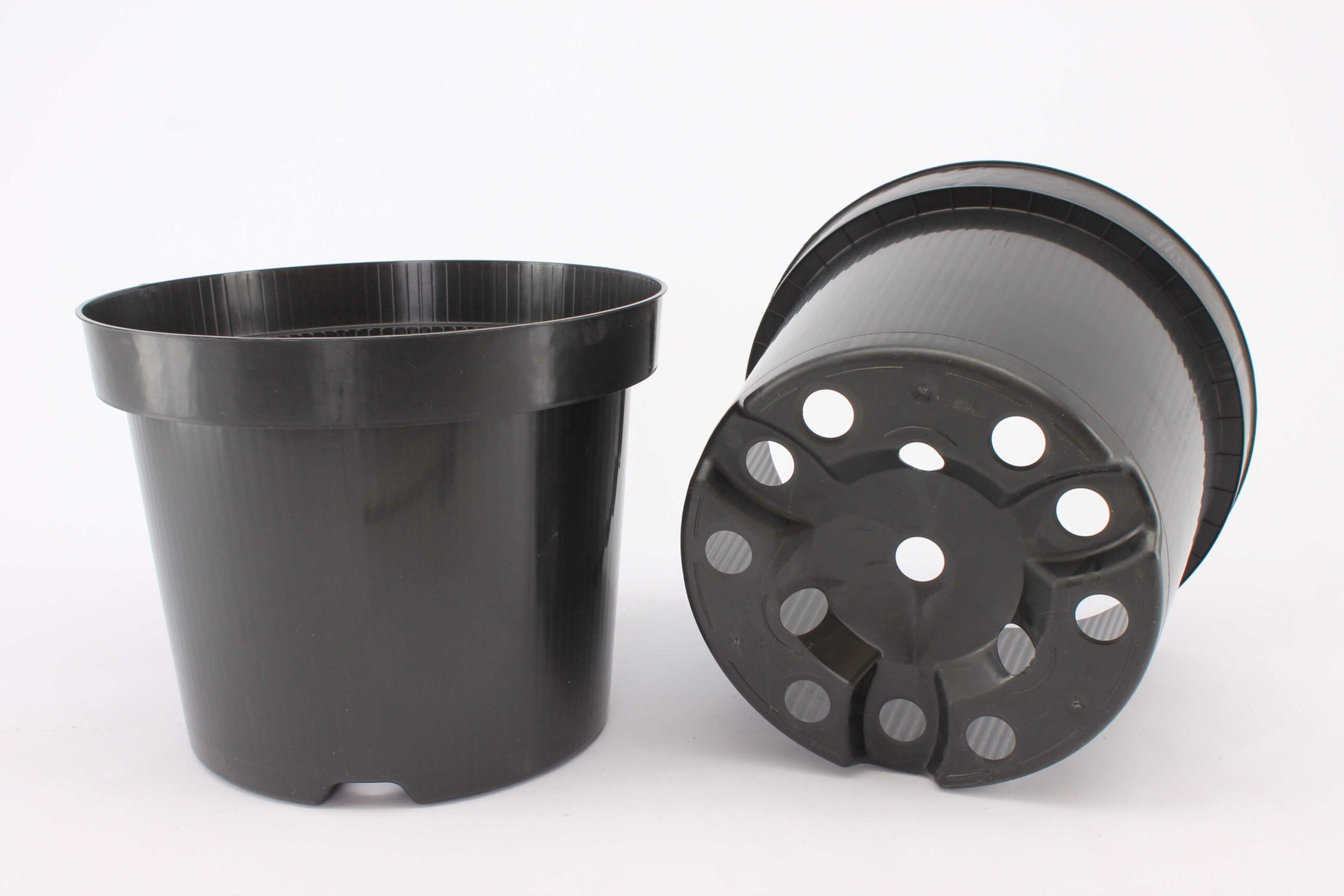 Shrub Container – 1.5L