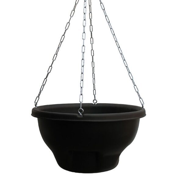 H2O Hanging Basket with Chain Hanger