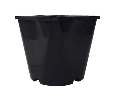Square Round Pot