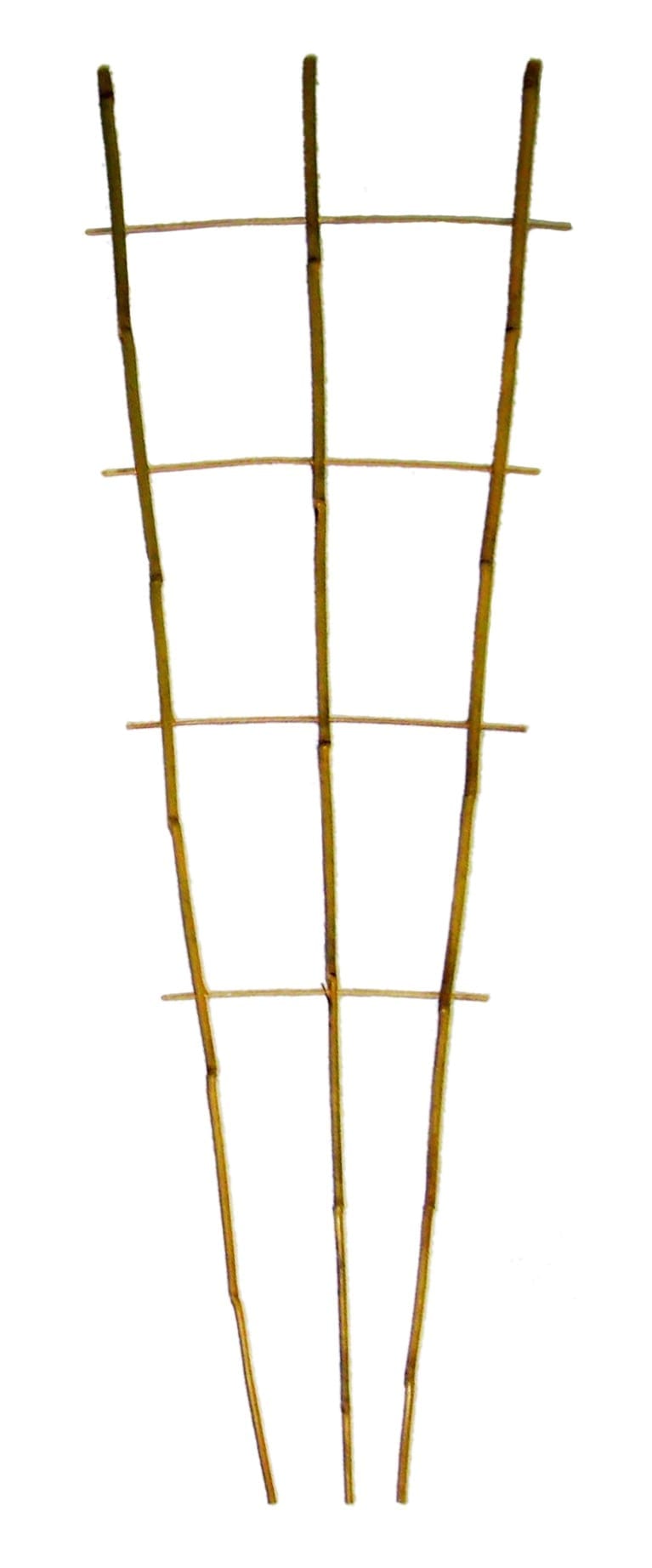 Bamboo Fan Trellis