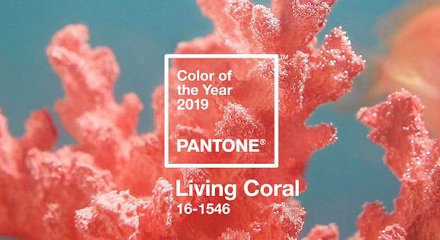 5 Planters That Make Living Coral Flowers Pop
