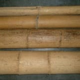 10′ Bamboo Poles