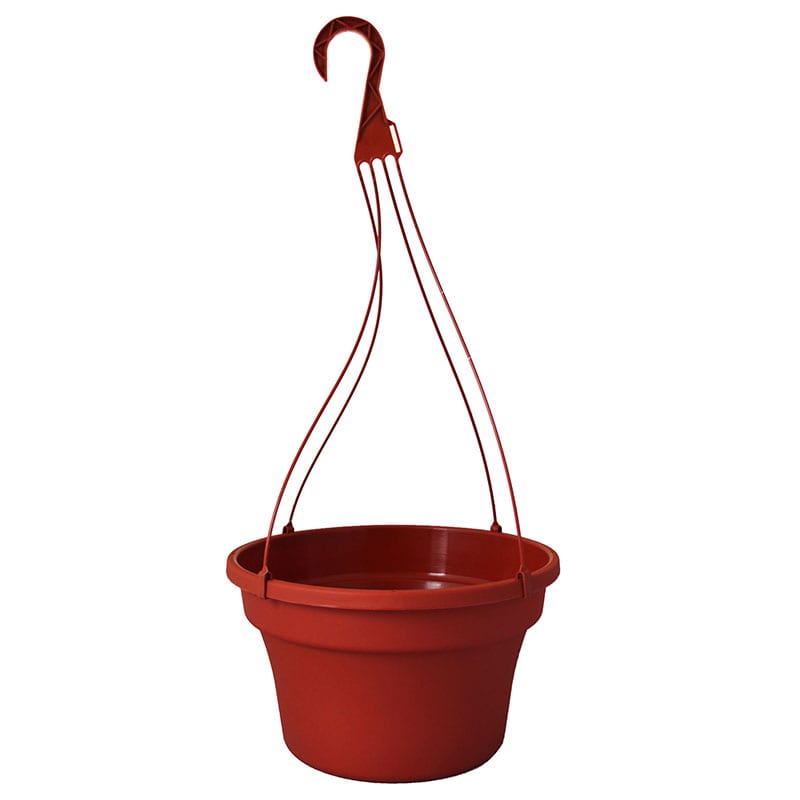 12″ Saucerless Hanging Basket with Hanger