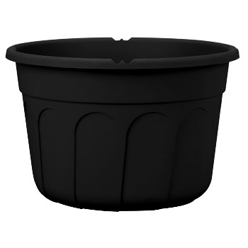 12.00 Cordova Hanging Basket