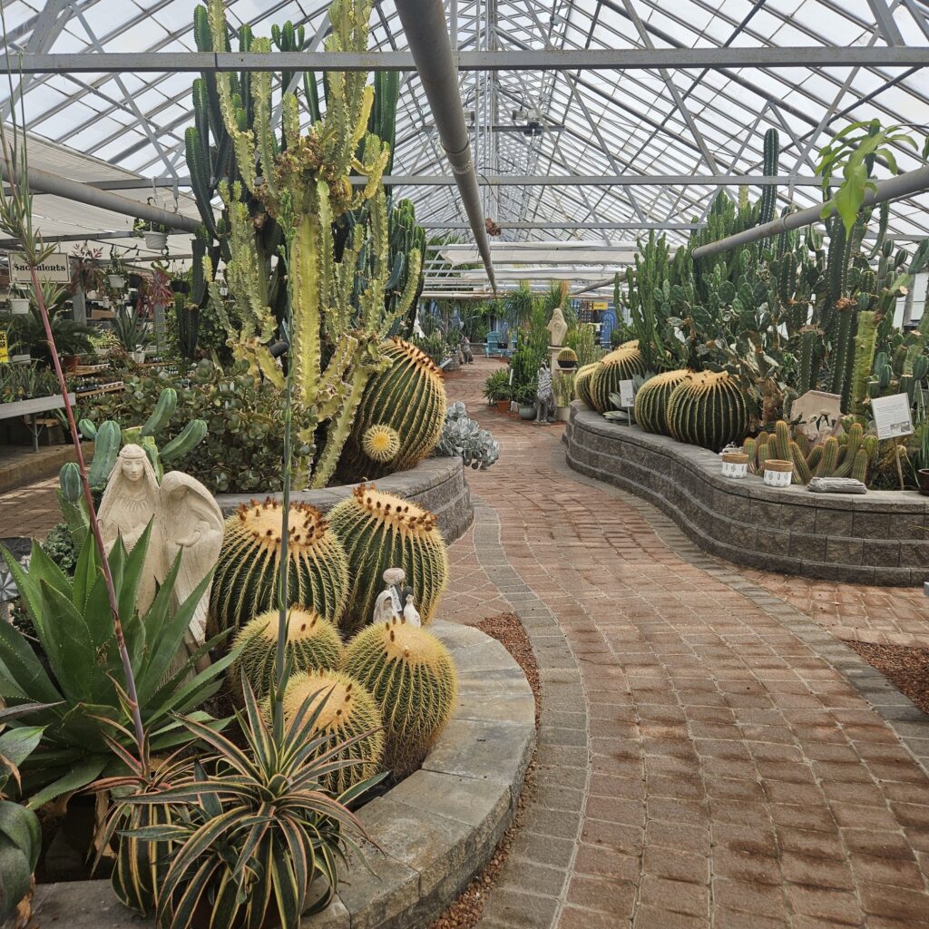 Cactus House 2