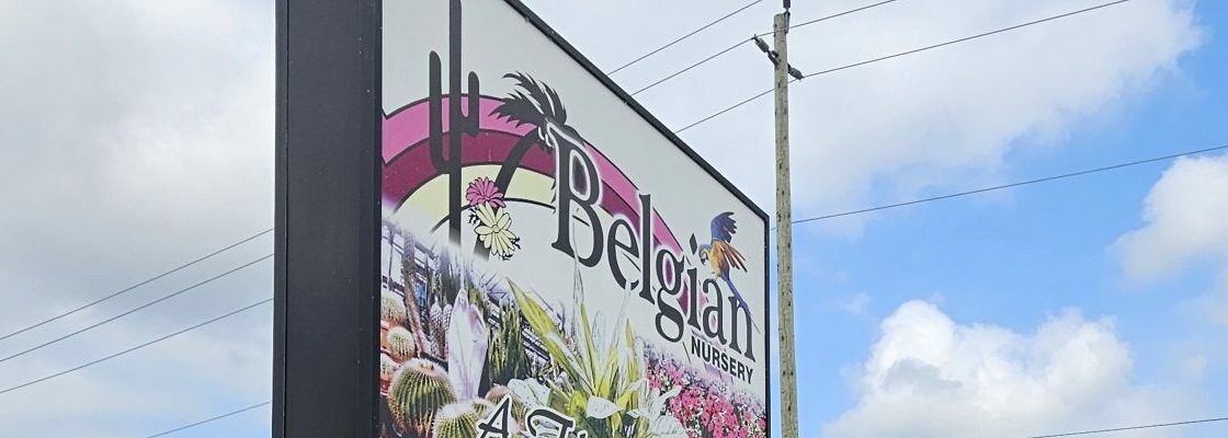Half Garden Centre, Half Oasis: How Belgian Nursery Became a Destination